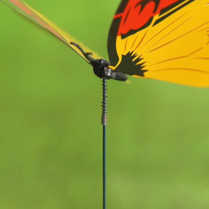 Набор декоративного штекера 6 шт. "Бабочка парусница" микс