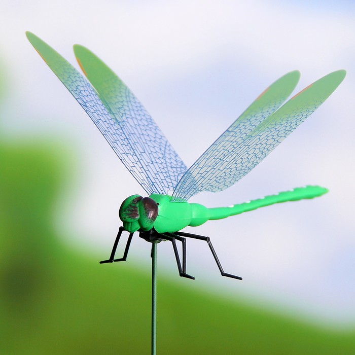 Набор декоративного штекера 6 шт. "Стрекоза" микс