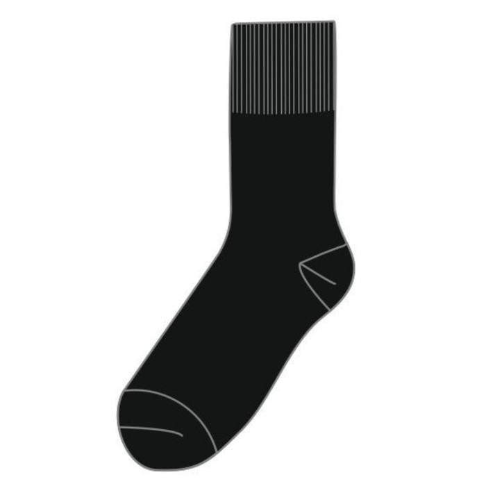 Носки мужские, размер 27, цвет чёрный