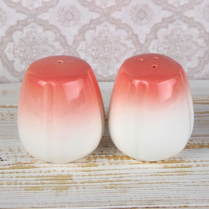 Набор для специй "Радость", 2 шт, цвет оранжевый