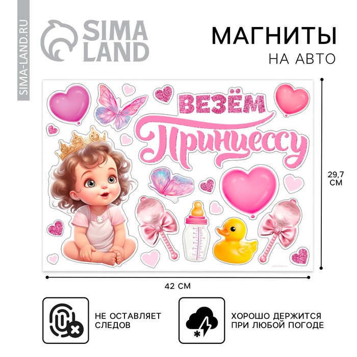

Набор магнитов на авто «Везем принцессу», на выписку, 42 см х 29,7 см