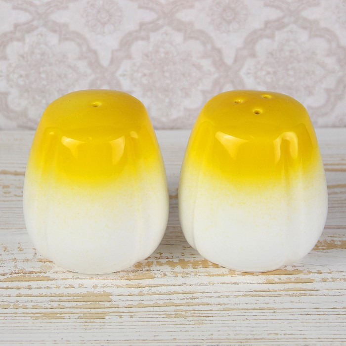 Набор для специй "Радость", 2 шт, цвет желтый