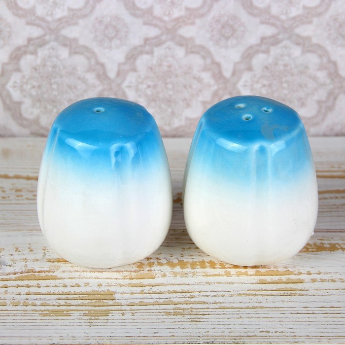 Набор для специй "Радость", 2 шт, цвет синий