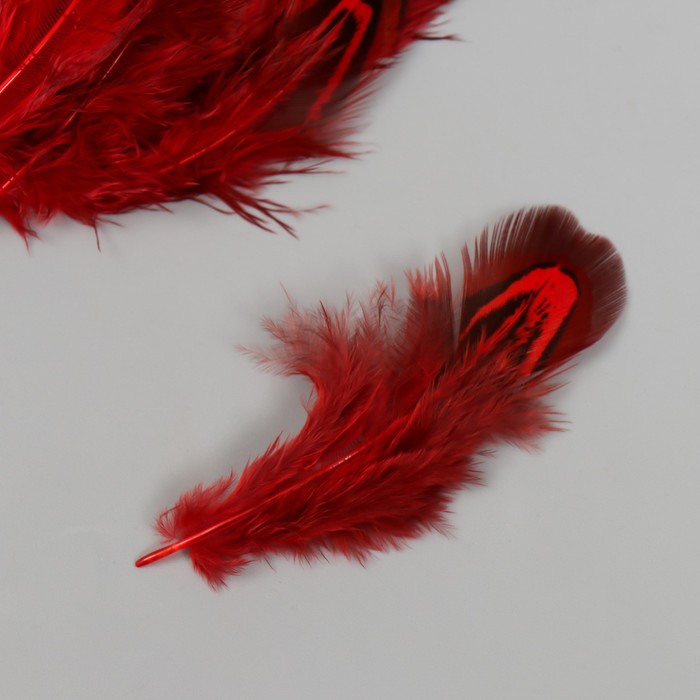 фото Перо декоративное фазана "рябь. красная" набор 20 шт h=5-7 см арт узор