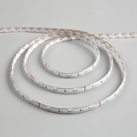 

Светодиодная лента 12В, SMD5050, 5 м, IP65, 30 LED, 7.2 Вт/м, 14-16 Лм/1 LED, DC, КРАСНЫЙ