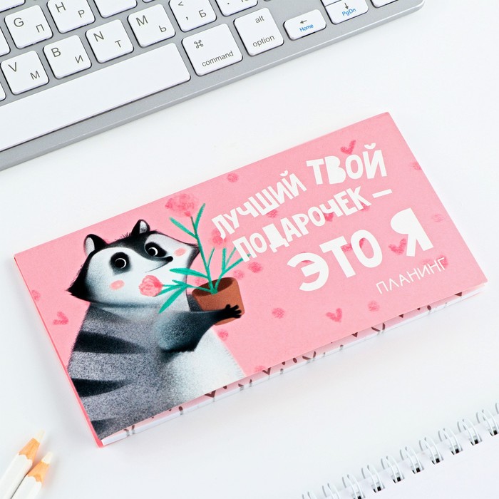

Планер с отрывными листами, 50 л. 17х9см «Енот»