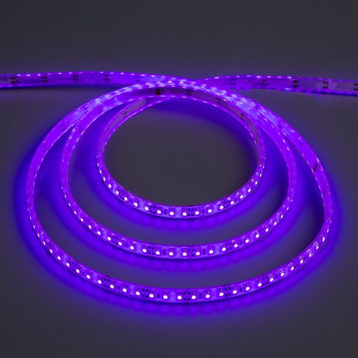 Светодиодная лента 12В, SMD3528, 5 м, IP68, 120 LED, 9.6 Вт/м, 6-7 Лм/1 LED, DC, ФИОЛЕТОВЫЙ