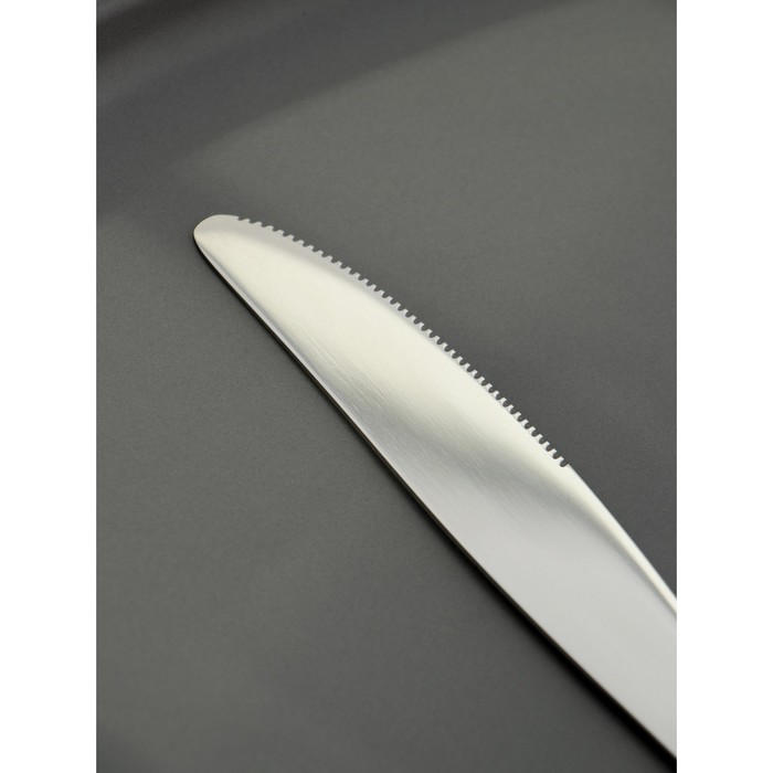 фото Набор ножей столовых из нержавеющей стали доляна, h=22,5 см, толщина рабочей части 3 мм, 6 шт