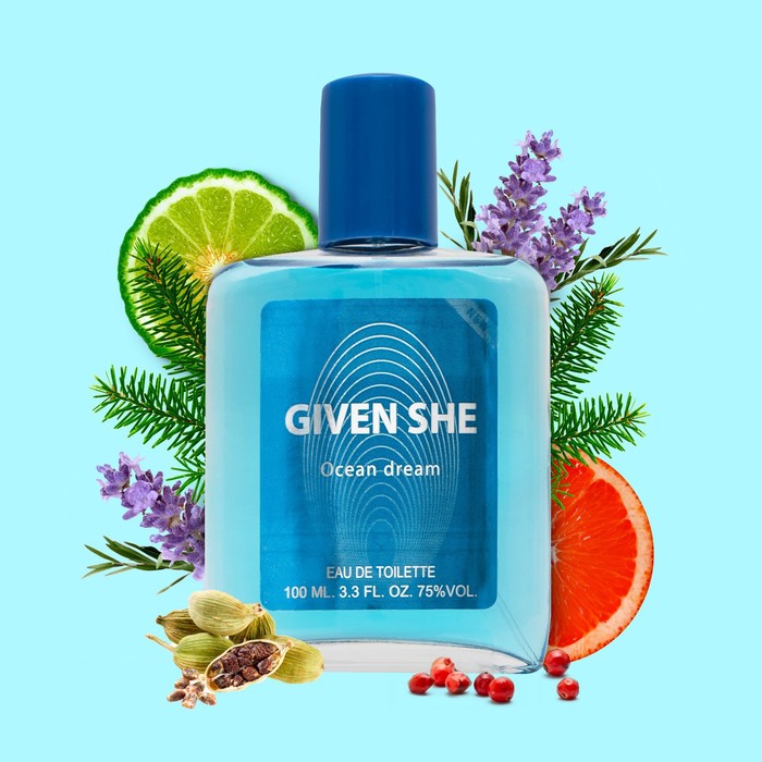 

Туалетная вода для мужчин Given she Ocean dream, по мотивам Givenchy blue label, 100 мл