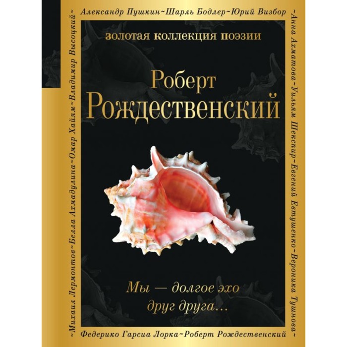 Мы – долгое эхо друг друга… Рождественский Р.И. виниловая пластинка разные мы друг друга нашли