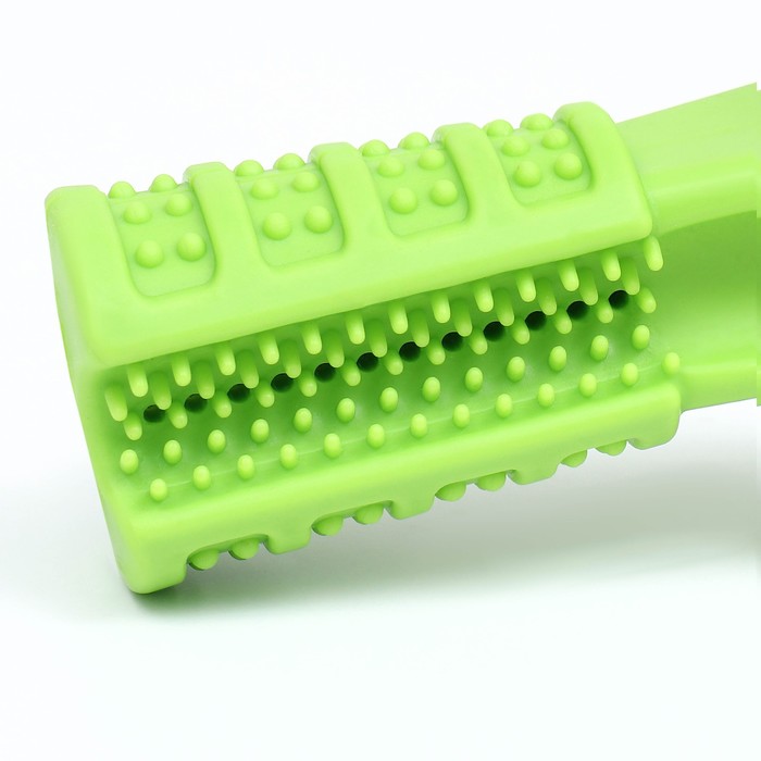 фото Игрушка для собак с отверстием для зубной пасты "зубная щетка" 12,5 см, зелёная пижон