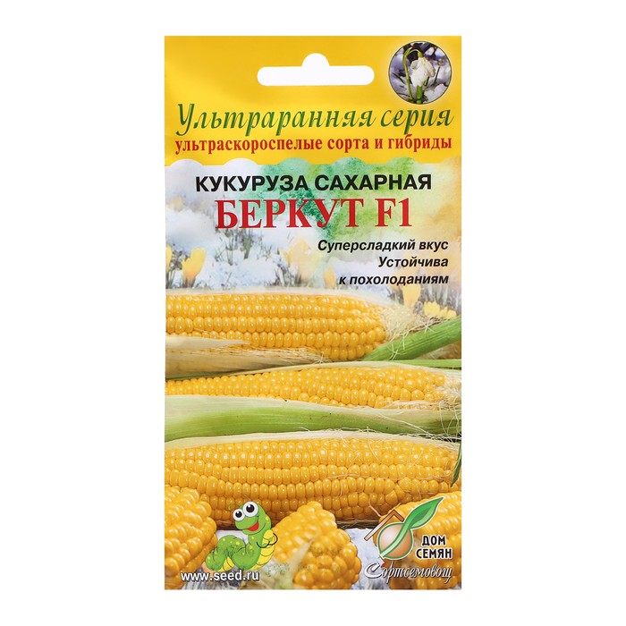 Семена Кукуруза Беркут F1 сахарная, 8 шт семена кукуруза сахарная медовая 8 г