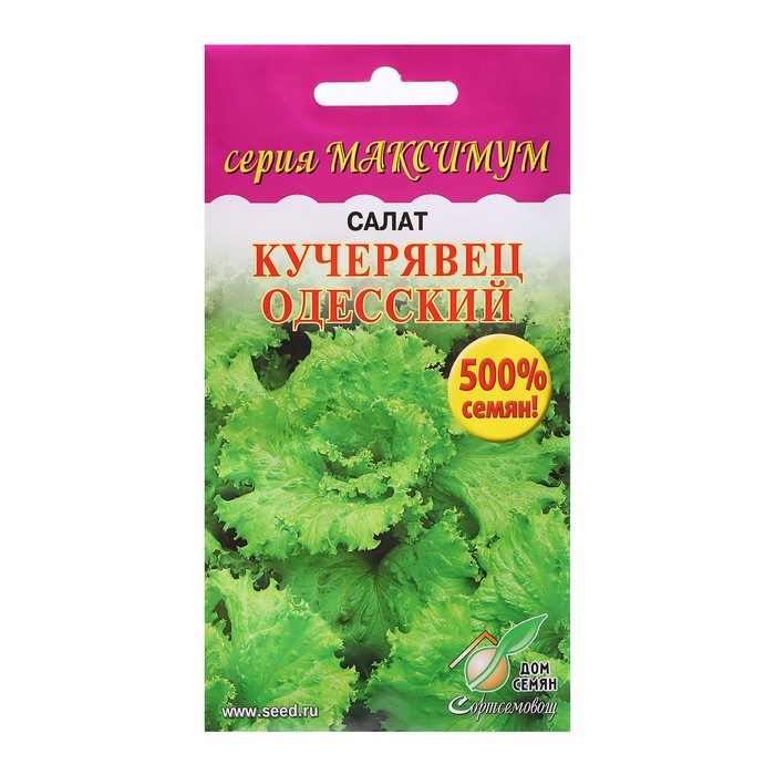 Семена Салат Кучерявец Одесский, максимум, 3600 шт семена салат кучерявец одесский