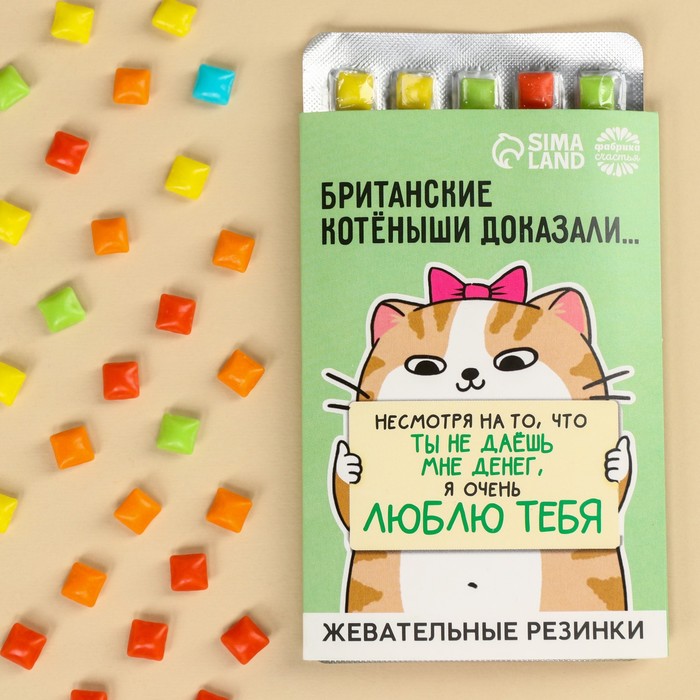 

Жевательная резинка «Ты не даёшь мне деньги», в блистере, 11, 5 г.