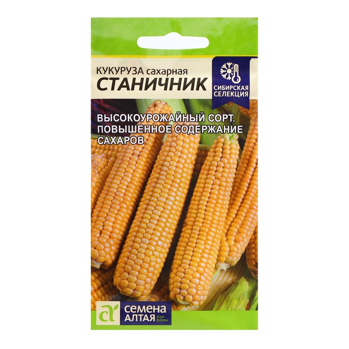 Семена Кукуруза Станичник, 3 гр.