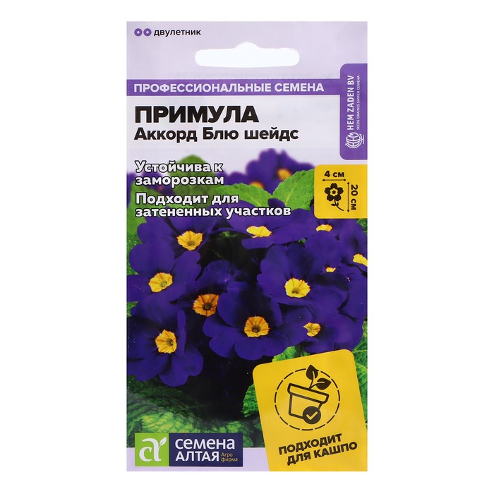

Семена Примула "Аккорд Блю шейдс", 5 шт