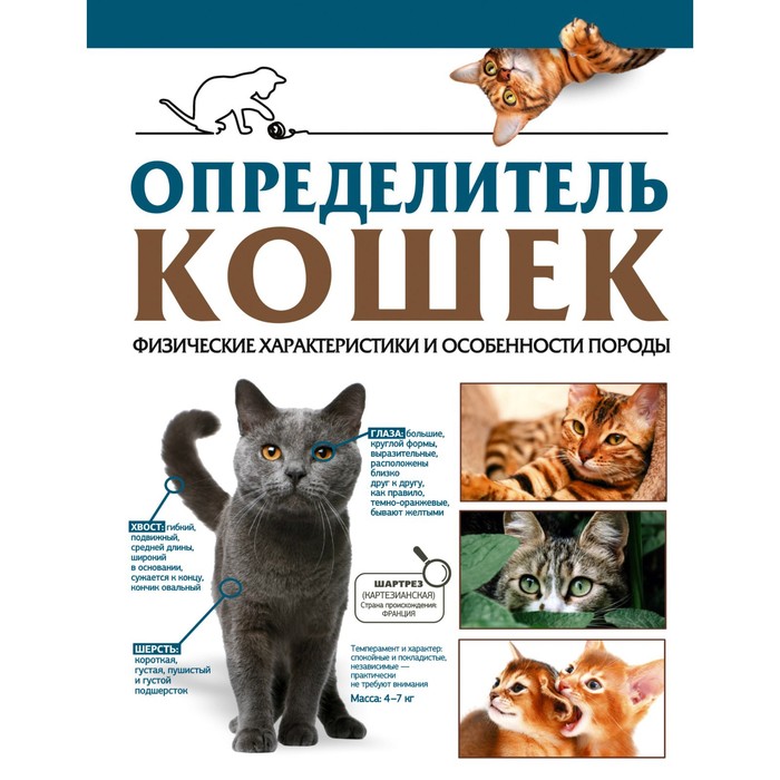 

Определитель кошек. Физические характеристики и особенности породы. Смирнов Д.С., Спектор А.А.