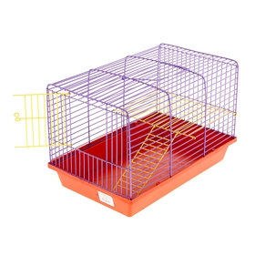 Клетка для грызунов 2-этажная, с металлическими полочками и лесенкой, микс цветов от Сима-ленд