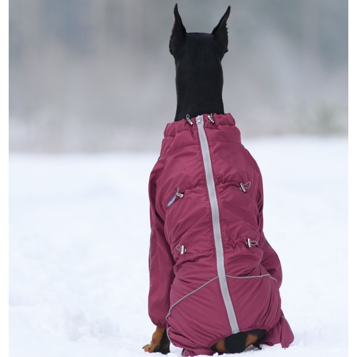 фото Комбинезон для собак (сука), утепленный флисовый, р. 55-2 (дс 55 см, ош 64 см, ог 90 см), бордо 10