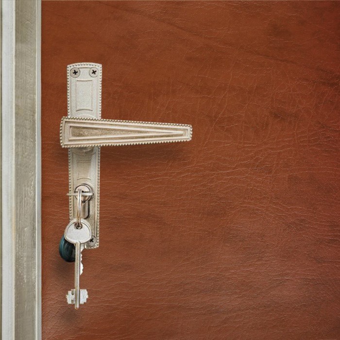 Комплект для обивки дверей, 100 × 200 см: иск.кожа, изолон 5 мм, гвозди 50 шт., струна 10 м, коричневый, Praktische Home