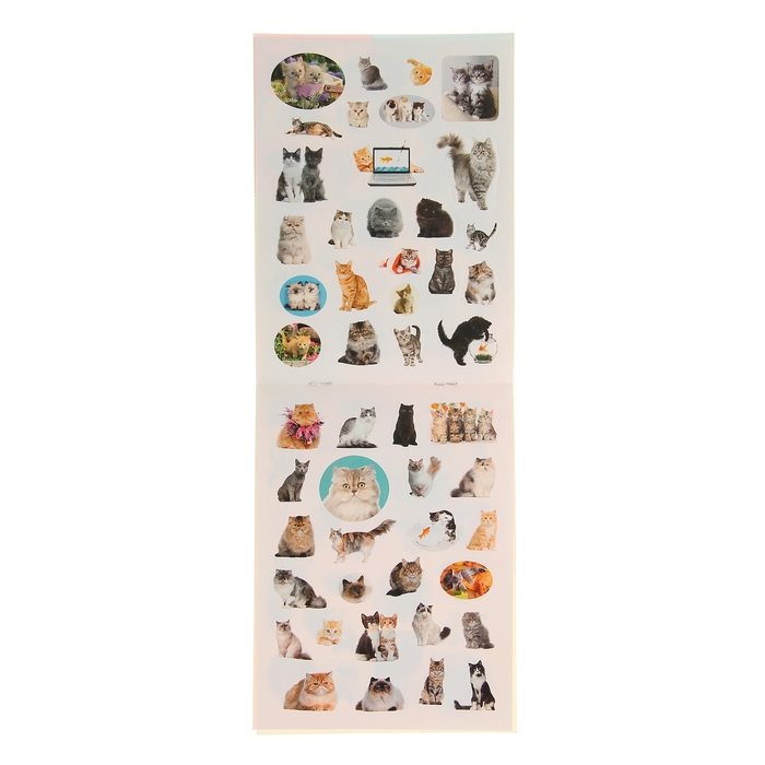 100 наклеек. Кошки