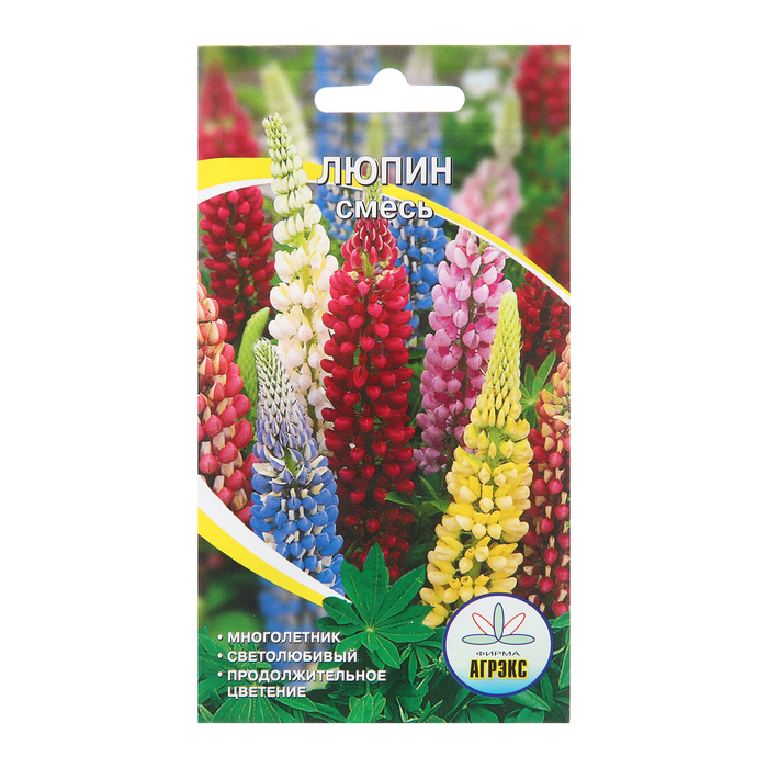Семена цветов Люпин Смесь, 10 шт цена и фото