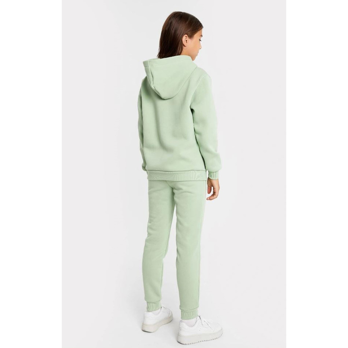 Комплект для девочки (толстовка, брюки), цвет зелёный, рост 98-104 см