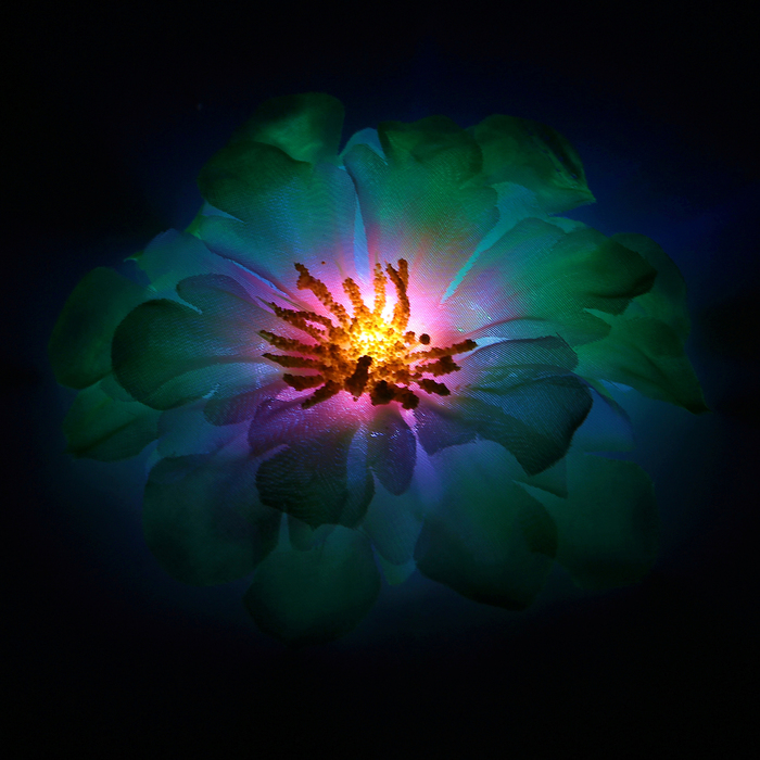 Зажим световой "Иберис" цвет зеленый