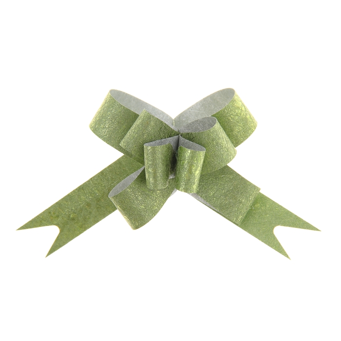 Бант-бабочка № 1,2 "Фактура", цвет зелёный