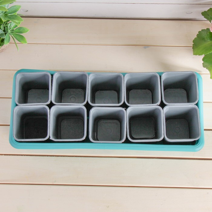 Набор для рассады: стаканы - 10 шт. по 300 мл, поддон 43 х 18 см, чёрный