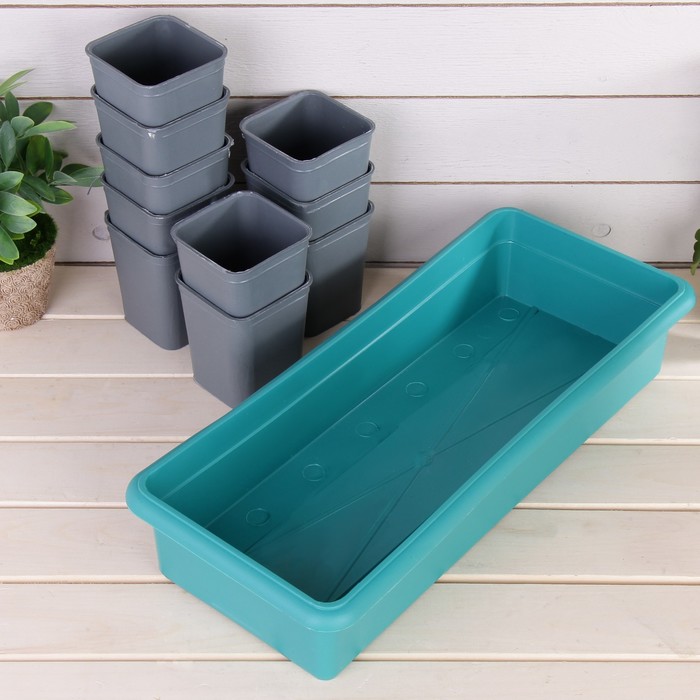 Набор для рассады: стаканы - 10 шт. по 300 мл, поддон 43 х 18 см, чёрный