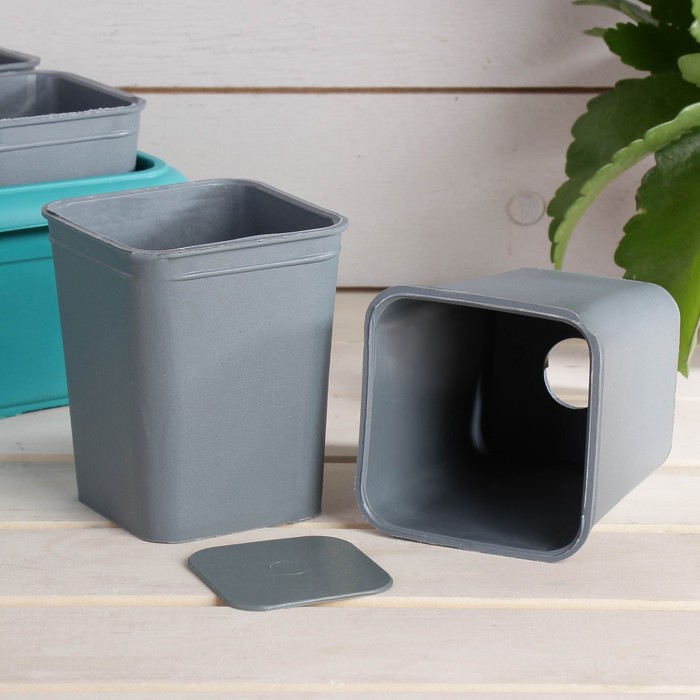 Набор для рассады: стаканы - 10 шт. по 300 мл, поддон 43 х 18 см, чёрный