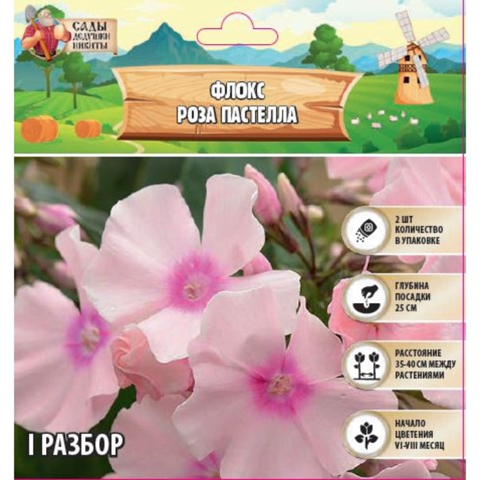 

Флокс "Роза Пастелла" р-р I, 2 шт, Весна 2024