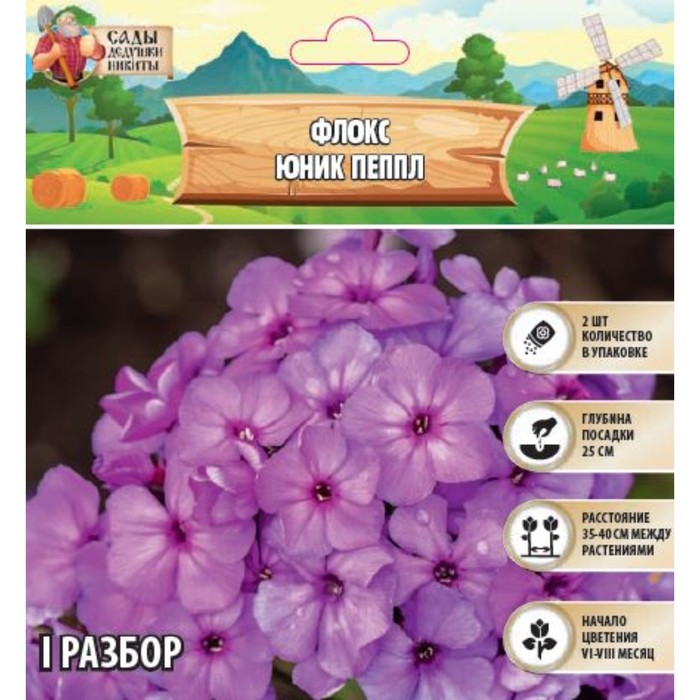 Флокс Юник Пеппл р-р I, 2 шт, Весна 2024 цена и фото