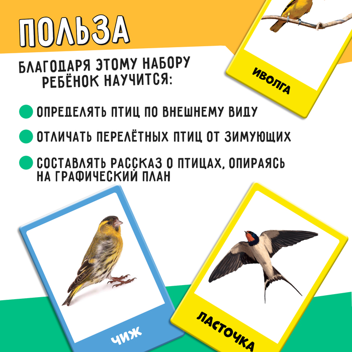 фото Развивающий набор «перелётные и зимующие птицы» iq-zabiaka