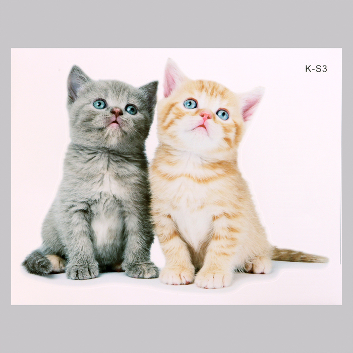 

Наклейка 3Д интерьерная Котики 29*21см