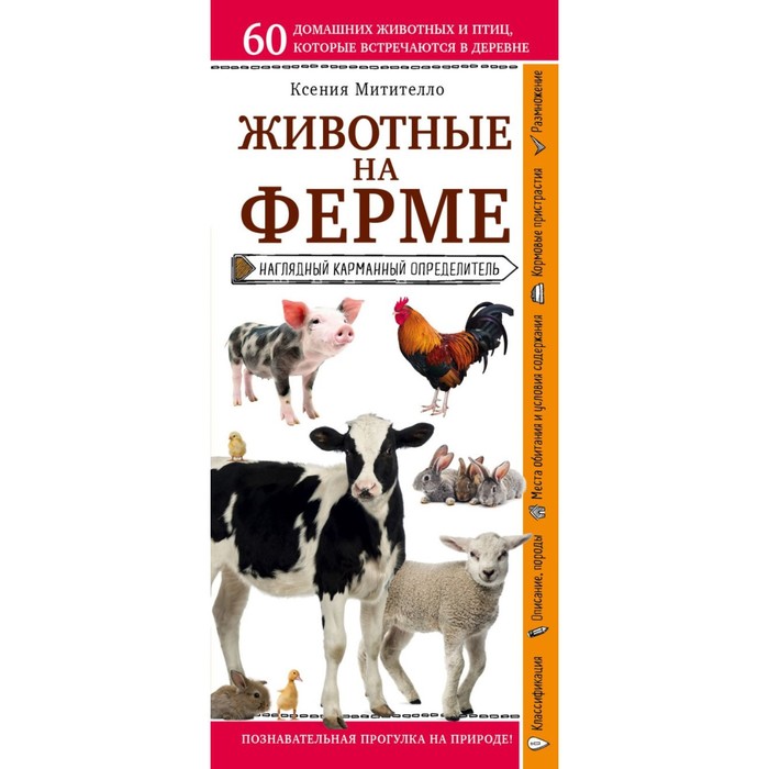 Животные на ферме. Наглядный карманный определитель. Митителло К. митителло ксения борисовна животные на ферме наглядный карманный определитель для пр