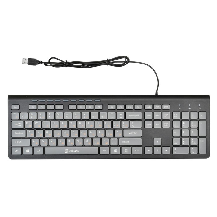 

Клавиатура Оклик 480M черный/серый USB slim Multimedia (1067199)