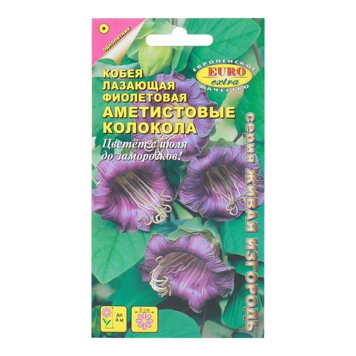 Семена цветов Кобея Аметистовые колокола фиолетовая, 0,3 г