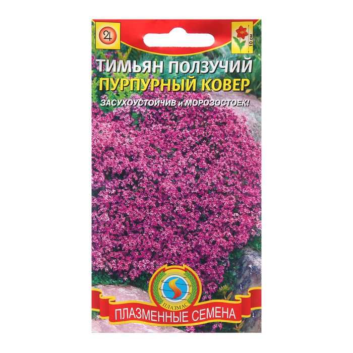 Семена Тимьян ползучий Пурпурный ковер семена тимьян ползучий рс 1 0 05 г 12 упаковок