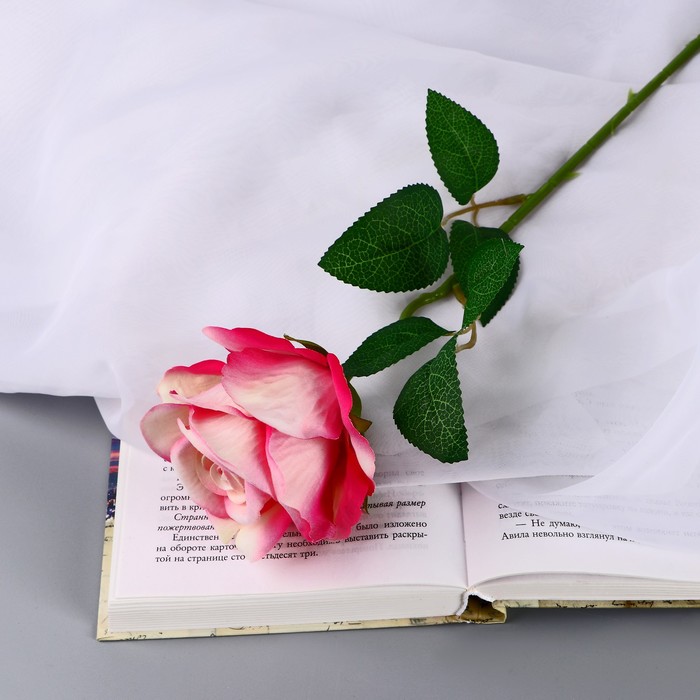 Цветы искусственные Роза чайная экстра d-7 см 44 см, бело-малиновый