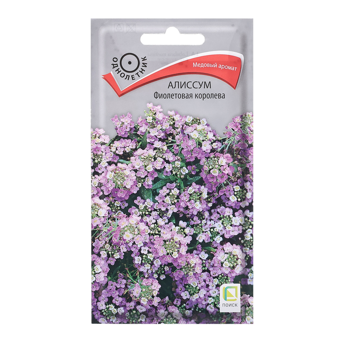 цена Семена цветов Алиссум Фиолетовая королева,0,3гр.