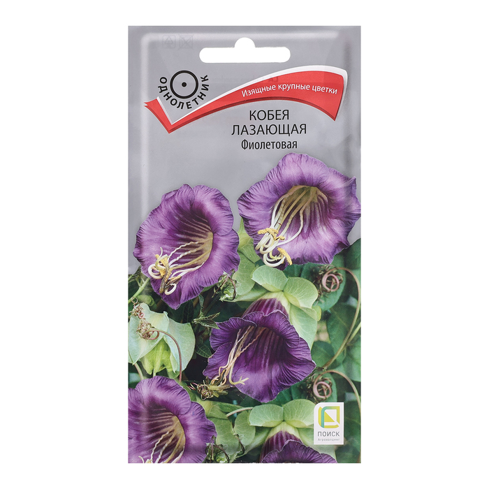 Семена цветов Кобея лазающая Фиолетовая, 5шт. семена кобея лазающая фиолетовая 5шт