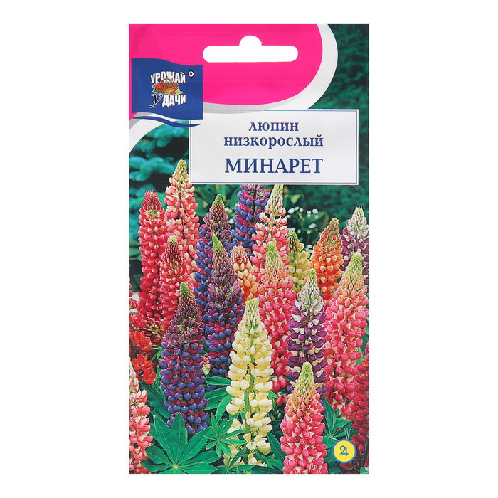 Семена цветов Люпин Минарет, 0,2г цена и фото
