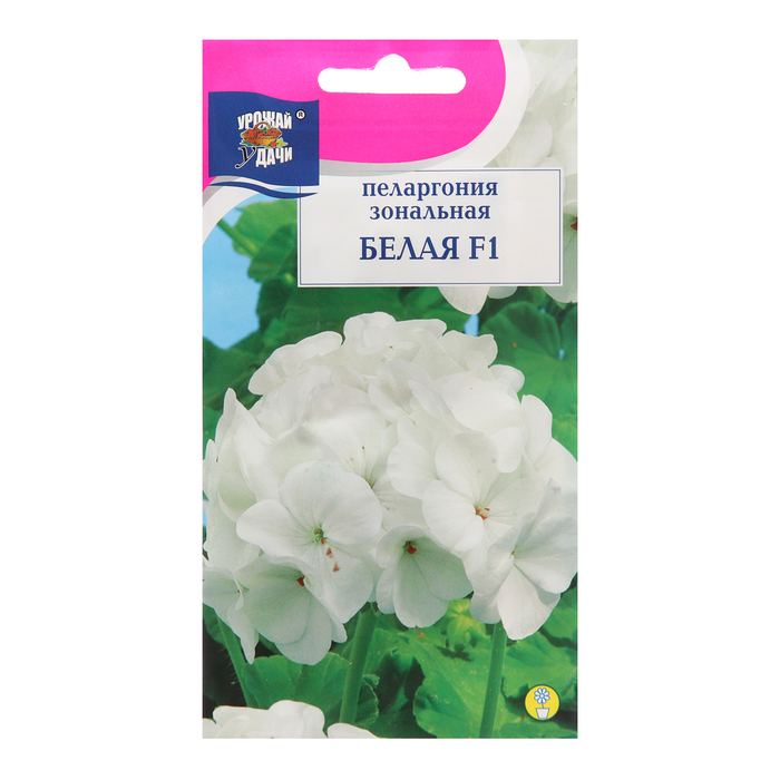 Семена цветов Пеларгония, Белая, F1, 0,02г семена цветов пеларгония розовая f1 0 02г