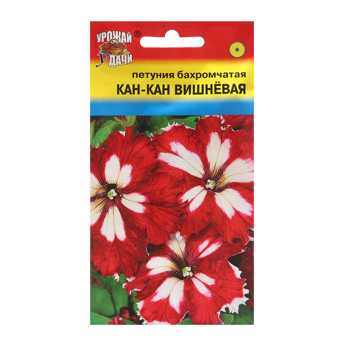 Семена цветов Петуния Кан Кан, Вишнёвая, 10шт семена петуния кан кан бургунди 10шт грандифлора