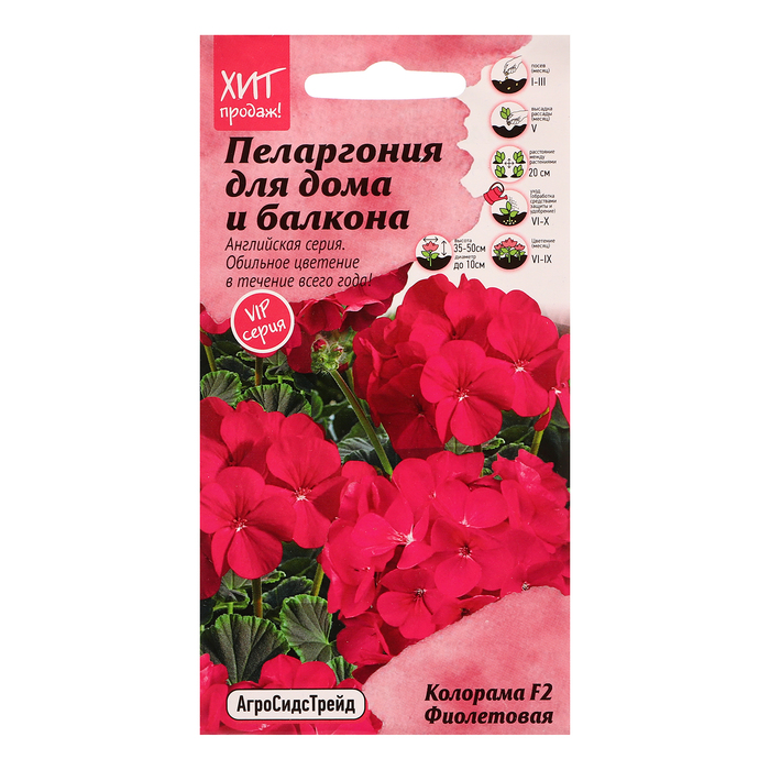 

Семена цветов Пеларгония "Колорама F2 Фиолетовая" для дома и балкона, 5 шт