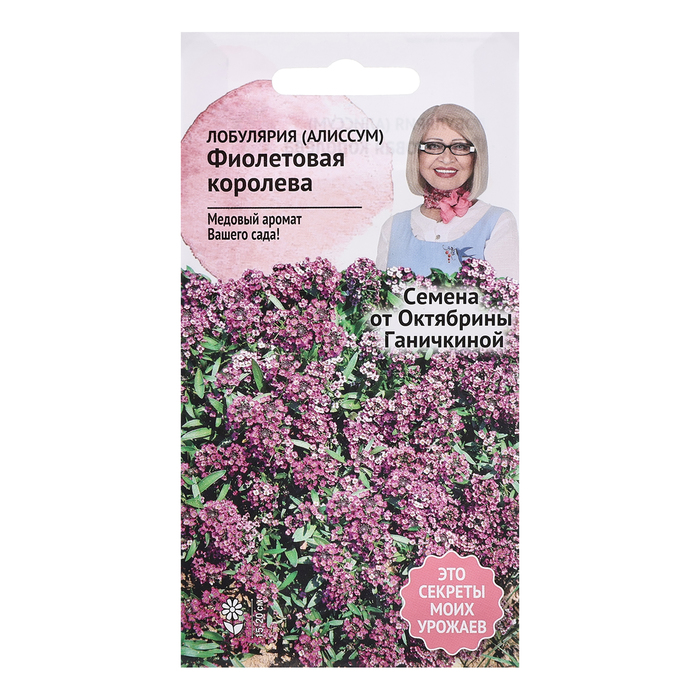 цена Семена цветов Алиссум (лобулярия) Фиолетовая королева, 0,1 г