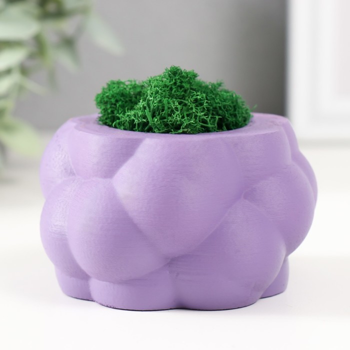 Кашпо бетонное Пузырьки со мхом фиолетовый 8х8х5см (мох зеленый стабилизированный)