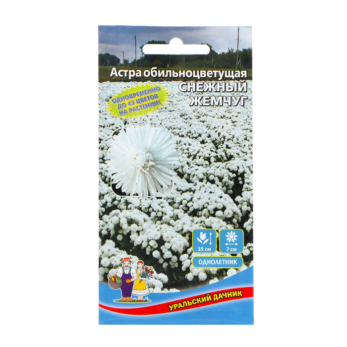 Семена Цветов Астра обильноцветущая Снежный жемчуг , 0 ,25 г